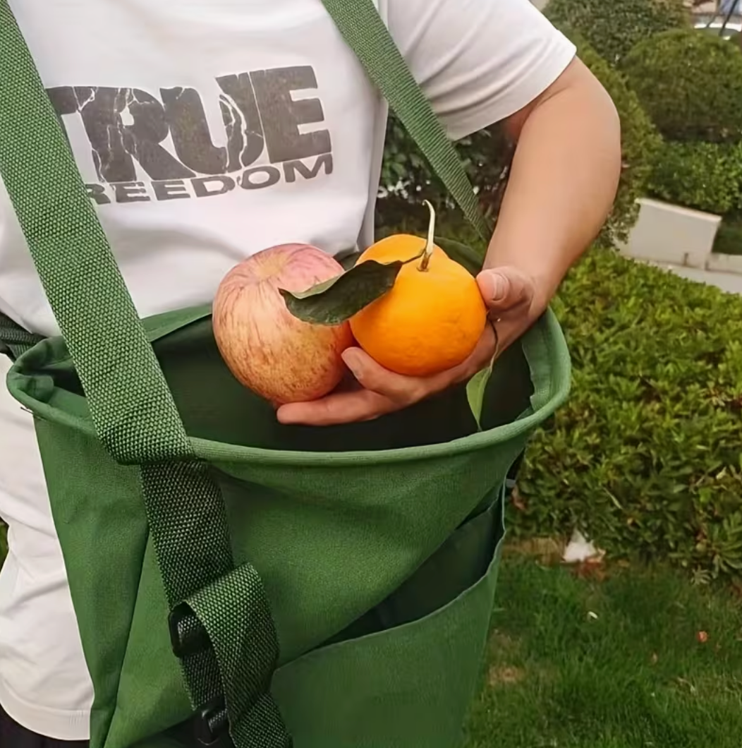 Verdix